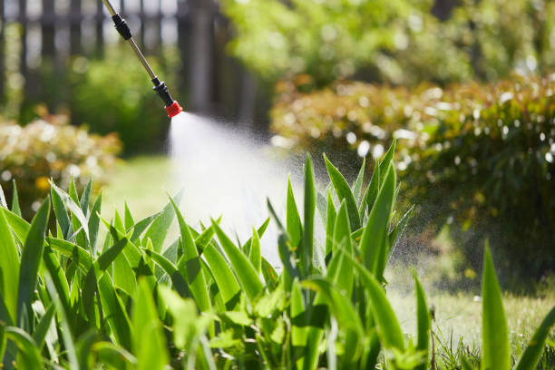 24/7 Emergency Termite Control experts in Silt, CO